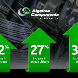 Bigelow Statistics