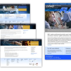 IND Corporation - Delia Associates