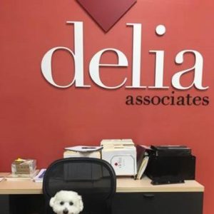 Delia Associates B2B Branding - Jeter