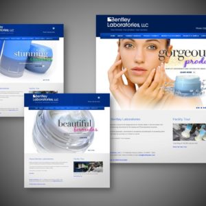 Brand Revitalization for Bentley Labs - Delia Associates