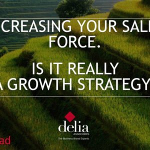 Delia Associates Sales Force Strategy for Business Growth