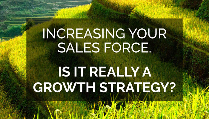 Increase your sales force slide