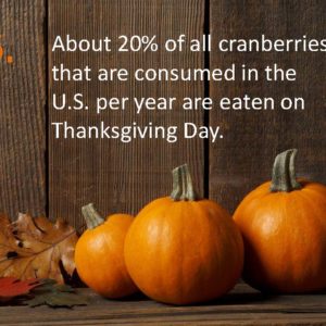 Delia Thanksgiving Fun Facts Page 6
