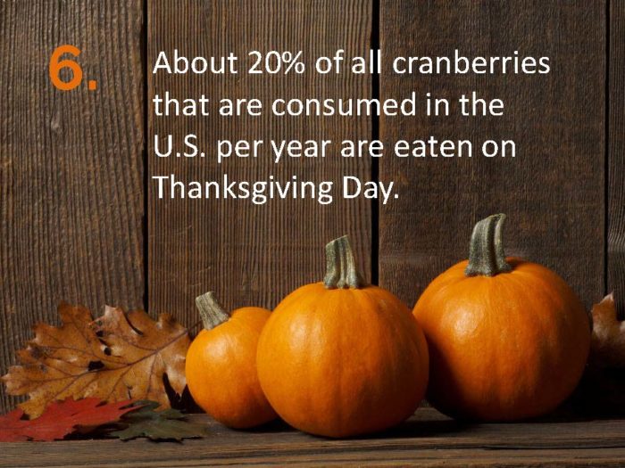 Delia Thanksgiving Fun Facts Page 6