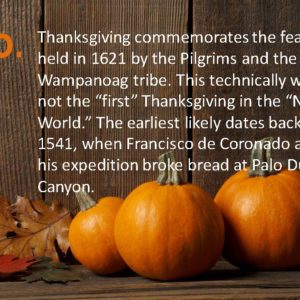 Delia Thanksgiving Fun Facts Page 10