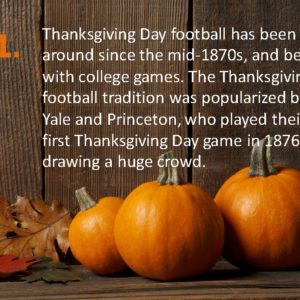 Delia Thanksgiving Fun Facts Page 11