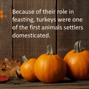 Delia Thanksgiving Fun Facts Page 14