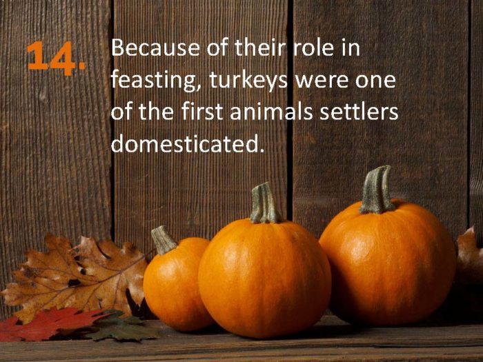 Delia Thanksgiving Fun Facts Page 14