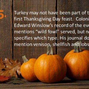 Delia Thanksgiving Fun Facts Page 15