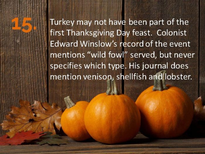 Delia Thanksgiving Fun Facts Page 15