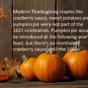 Delia Thanksgiving Fun Facts Page 16