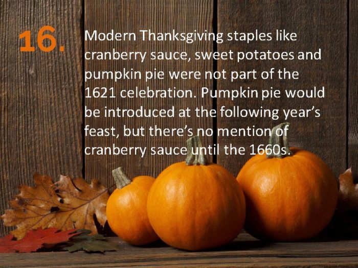 Delia Thanksgiving Fun Facts Page 16