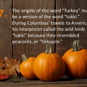 Delia Thanksgiving Fun Facts Page 17