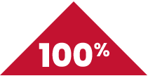 100% Triangle Icon