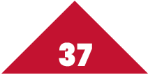 37 Triangle Icon