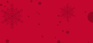 Holiday BG Image
